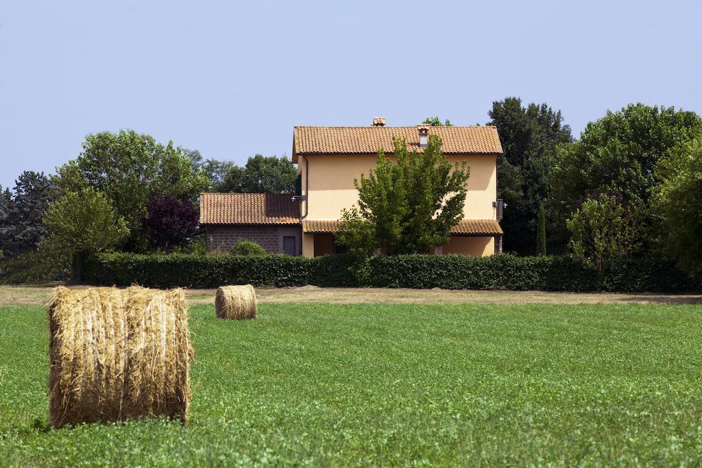 Agriturismo Ferento E Il Castagno Villa Viterbo Eksteriør bilde