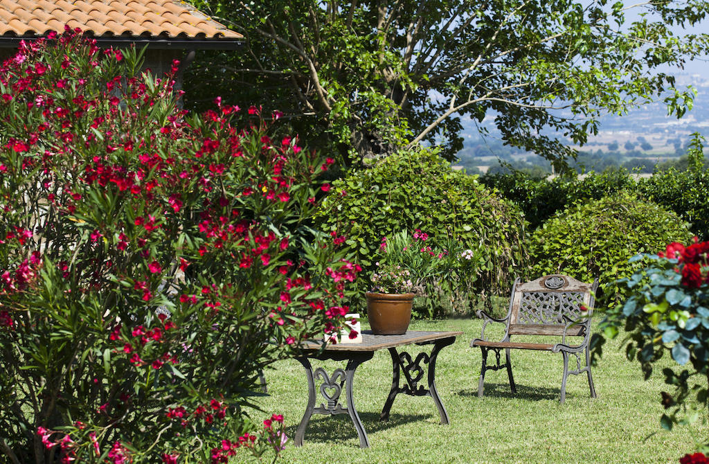 Agriturismo Ferento E Il Castagno Villa Viterbo Eksteriør bilde